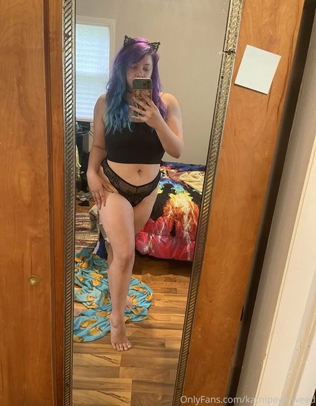 katnipeverweed 美しいスター 画像