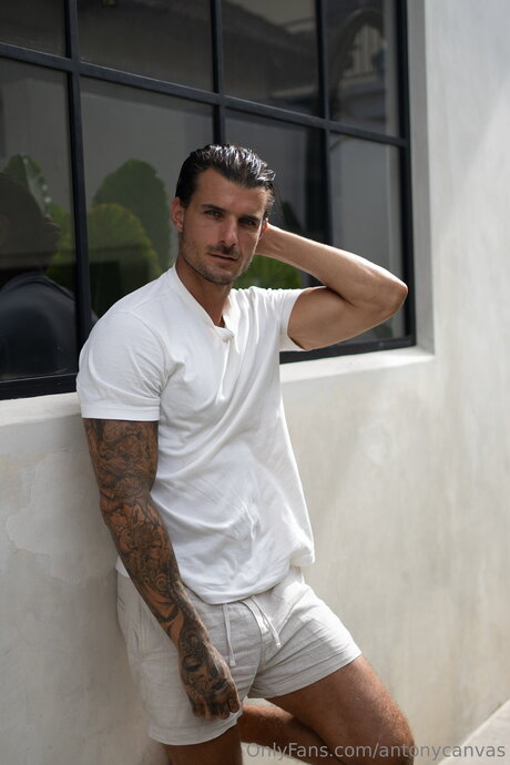 Antonycanvas セクシーなスター 写真