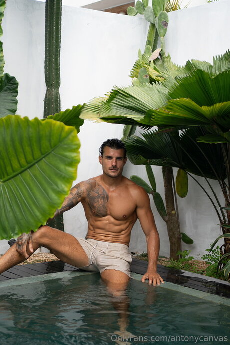 Antonycanvas エロティックなポルノスター 写真