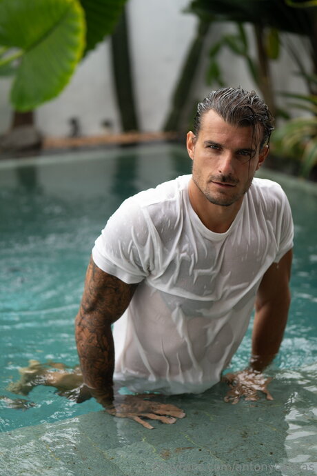 Antonycanvas 美しいポルノスター 写真