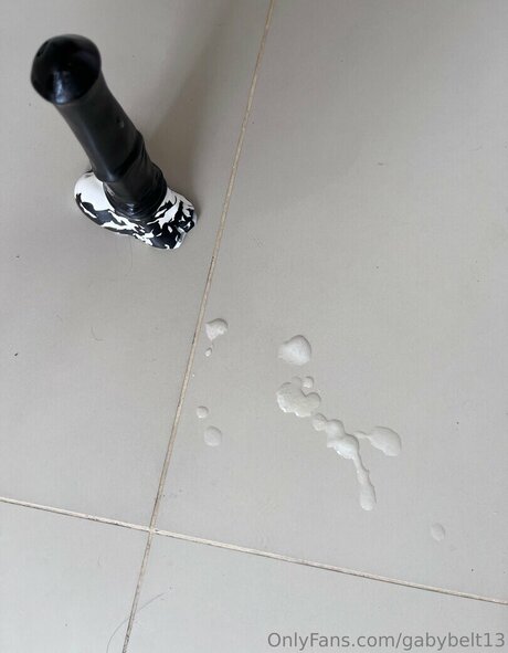 Gabriela Belt ポルノスター 無料 写真