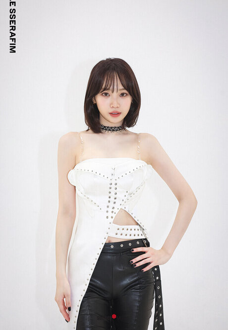 プリティオンリーファンズ 美しい 画像