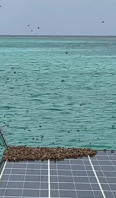 かわいいシーメールオンリーファンズ えろ 写真