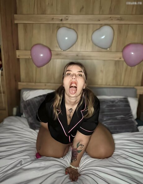 Geparrke HDモデル 写真