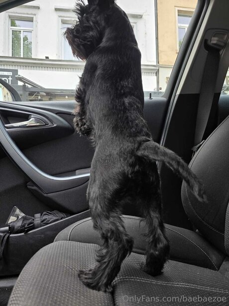 かわいいティーンのオンリーファンズ ホットセックス ギャラリー