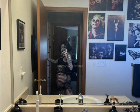 Tyniquewebster スター ギャラリー