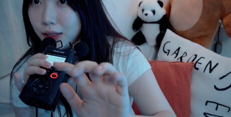 Dooboo Asmr かわいいスター 写真