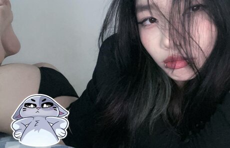 shinoaqi HDスター 画像