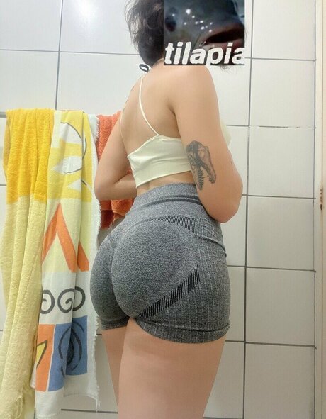 Scaramijo 完璧なスター 画像