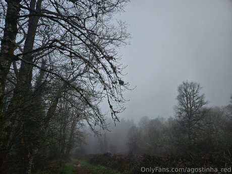 BBC PAWG オンリーファンズ 無料ポルノ ギャラリー