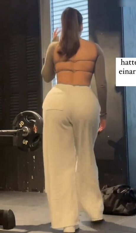 ブラジルの猫オンリーファンズ 美しい 写真