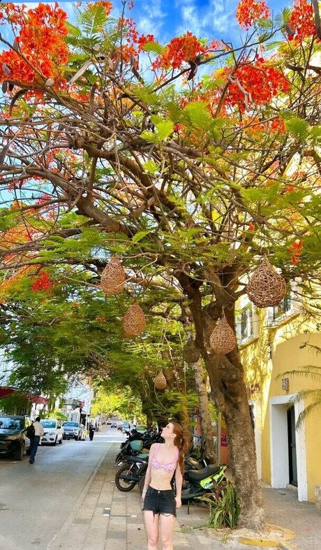 Giulia Bruno ポルノスター トップ 画像