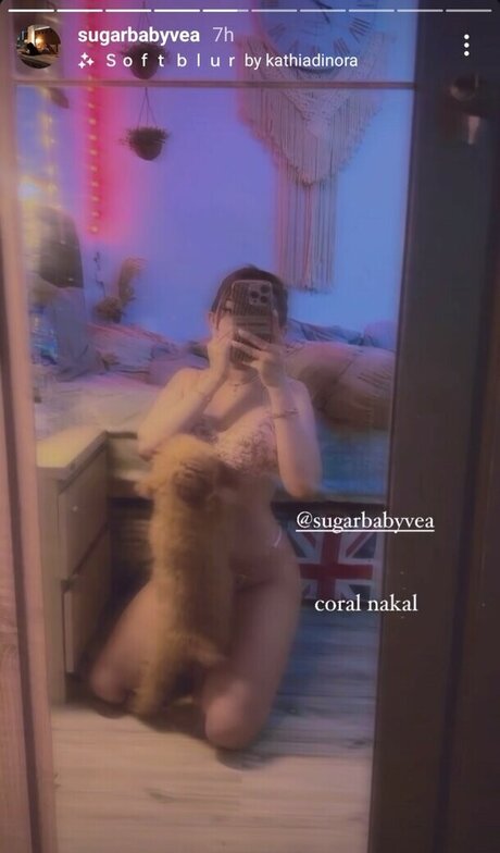 大学生カップルのオンリーファンズ アダルト アーカイブ