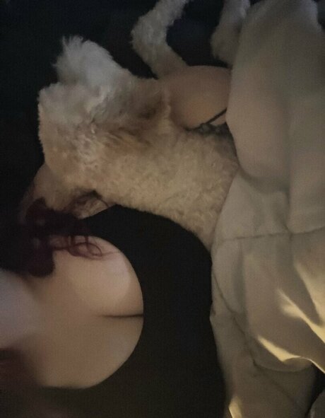 赤毛ティーンオンリーファンズ ポルノグラフィック ギャラリー