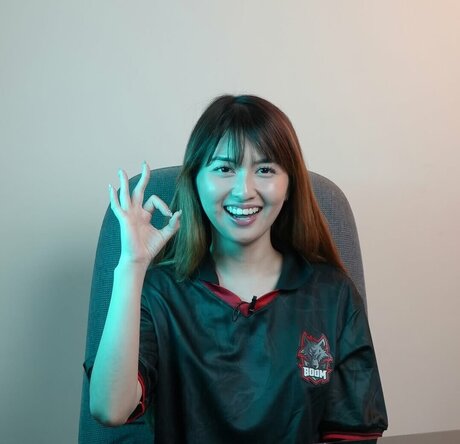 Swansage HDスター 画像