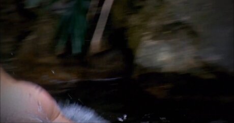 BBWシーメールオンリーファンズ ホット 写真