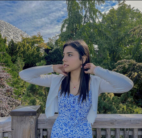 Gal Akbari トップスター 写真