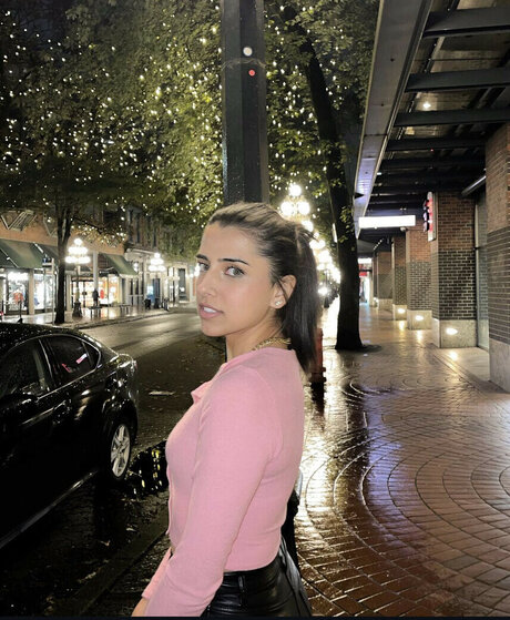 Gal Akbari アートモデル 画像