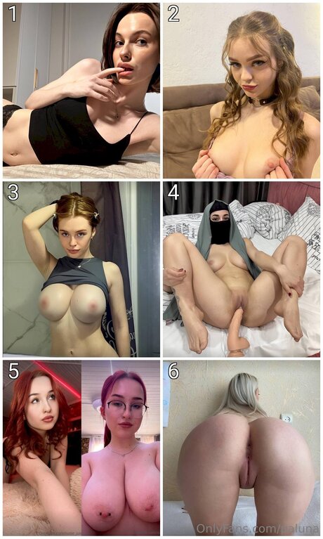 paluna アートスター 写真