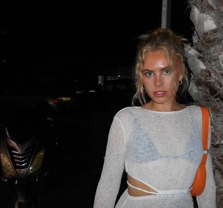 Peyton Cole トップポルノスター 写真