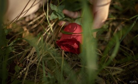 ポーグエボニーオンリーファンズ ポルノ アーカイブ