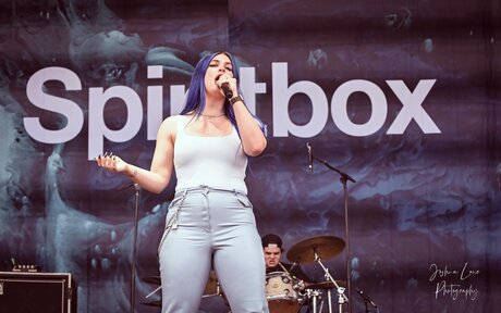 ブルネットの猫OnlyFans アートポルノ 写真