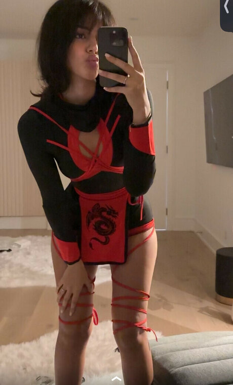 シックオンリーファン トップ 写真