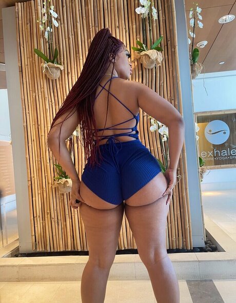 ブッシュ・オンリーファンズ 素敵 ギャラリー