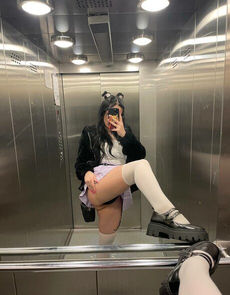 darkapojarkaof トップ女優 画像