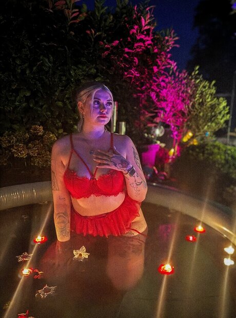 Feneliactx かわいいスター 写真