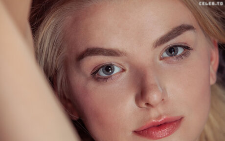 Daniel Sea xxxポルノスター 写真