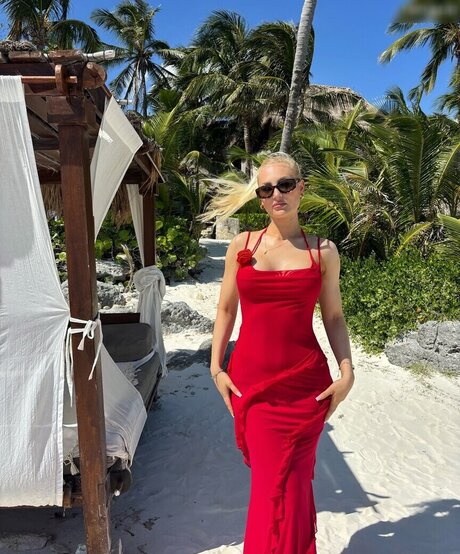 シックオンリーファン HD 画像