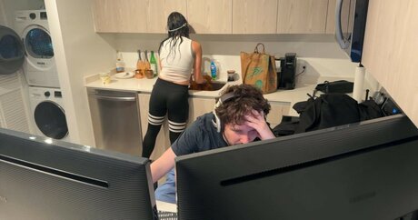 Notsoerudite アートスター 写真