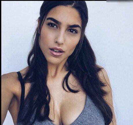 Joules117 完璧なスター 写真