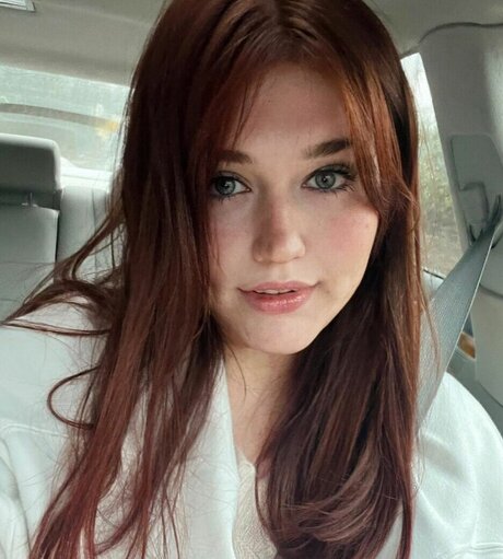 ブラジルの猫オンリーファンズ 美しい 写真