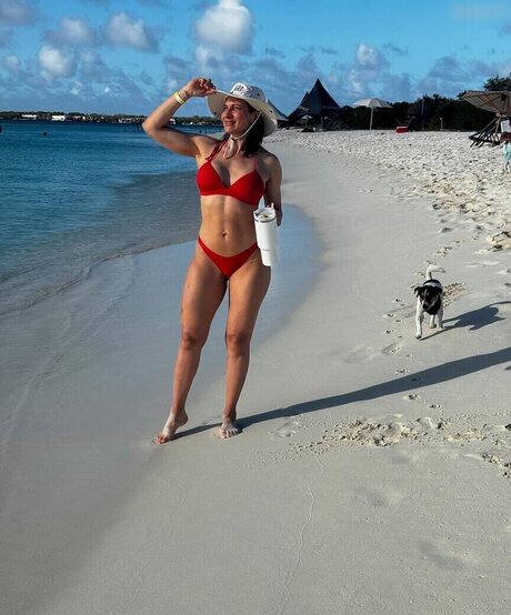 Prominent 完璧なスター 写真