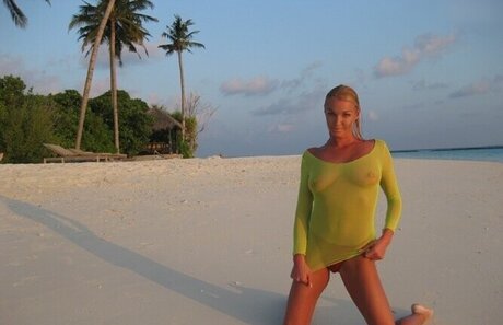 Prominent 裸のポルノスター 写真