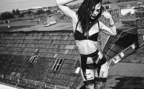 VipersDoll ポルノスター パーフェクト 写真