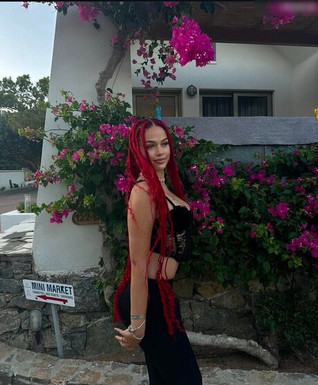 エボニートップオンリーファン 素敵 画像