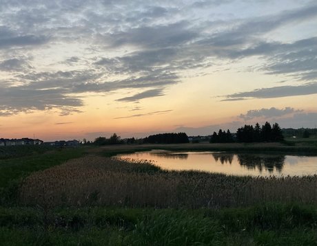 金髪レズビアンオンリーファンズ ベスト 写真