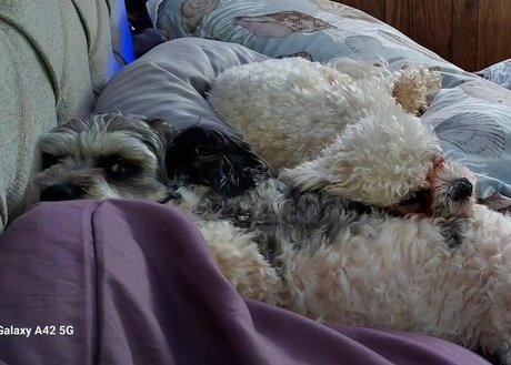 LanaRN 無料女優 画像