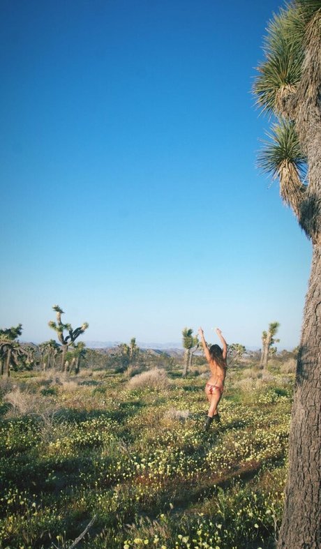 ブッシュ・オンリーファンズ アートヌード 写真