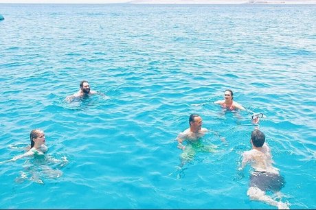 Erin Moriarty 完璧なモデル 写真