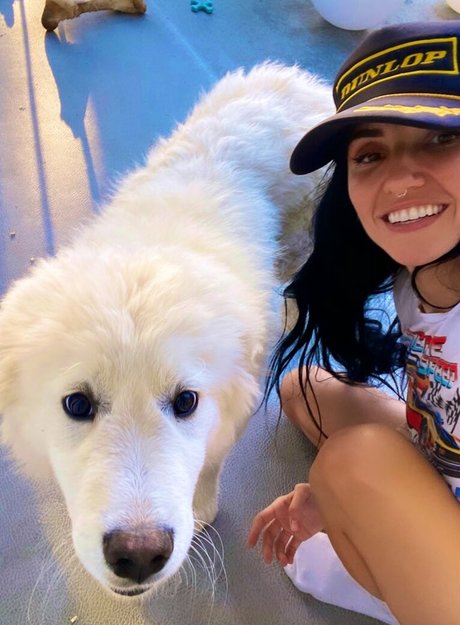 ポーグガールズオンリーファン ポルノグラフィック 画像