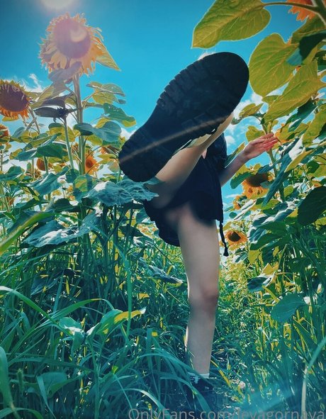 スマイルオンリーファンズ 美しいポルノ 写真