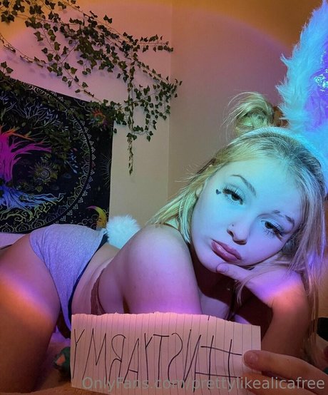 aliisnowwflake 限定モデル 写真