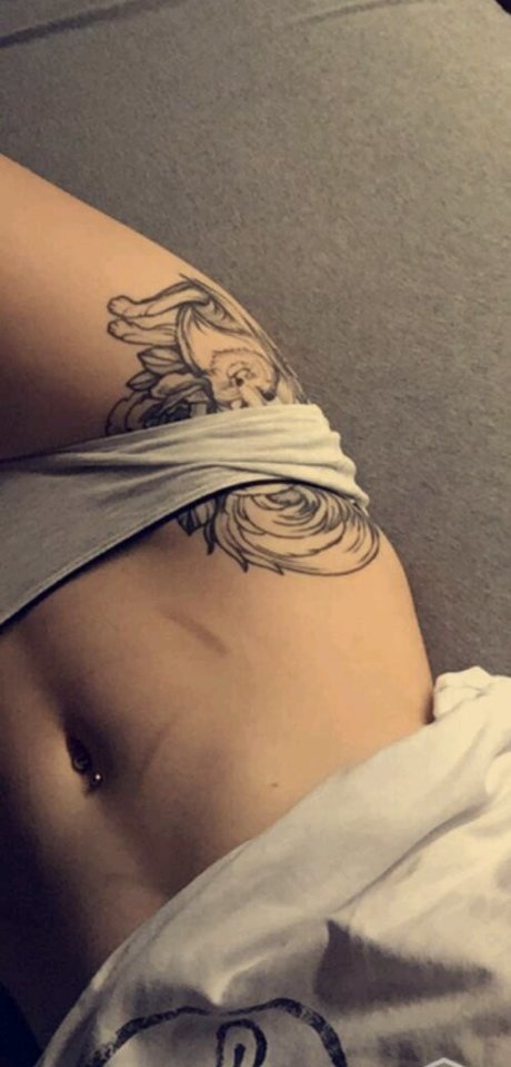 Proxyfox 完璧なスター 写真