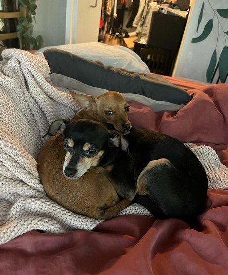 Suki Jade エロティックなスター 写真