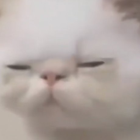 off the wall 美しいポルノスター 写真