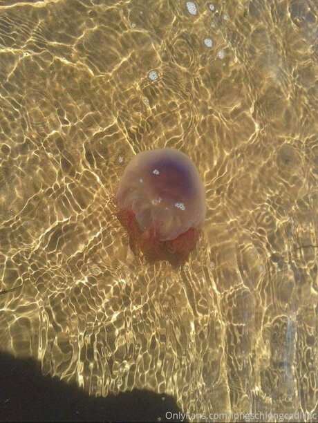 Cadillac ポルノモデル 写真